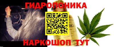 трава Краснознаменск