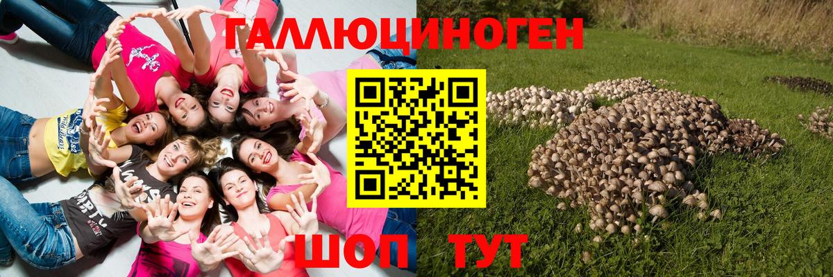 Псилоцибиновые грибы мухоморы  Галлюциногенные грибы GOLDEN TEACHER  Вход с VPN  Звенигород 